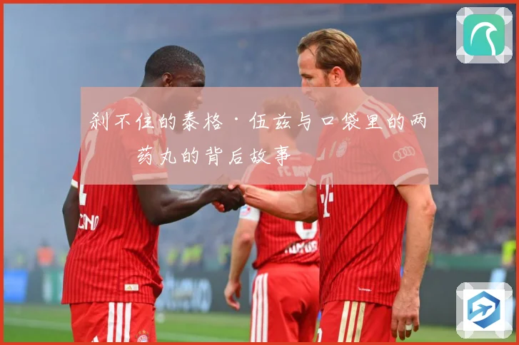 刹不住的泰格·伍兹与口袋里的两粒药丸的背后故事