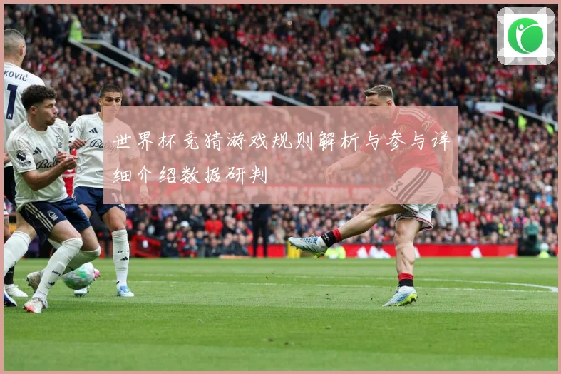 世界杯竞猜游戏规则解析与参与详细介绍数据研判