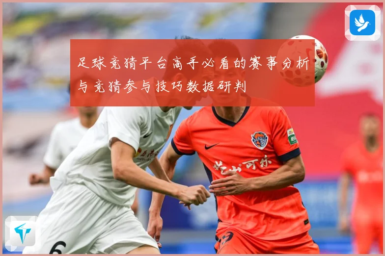 足球竞猜平台高手必看的赛事分析与竞猜参与技巧数据研判